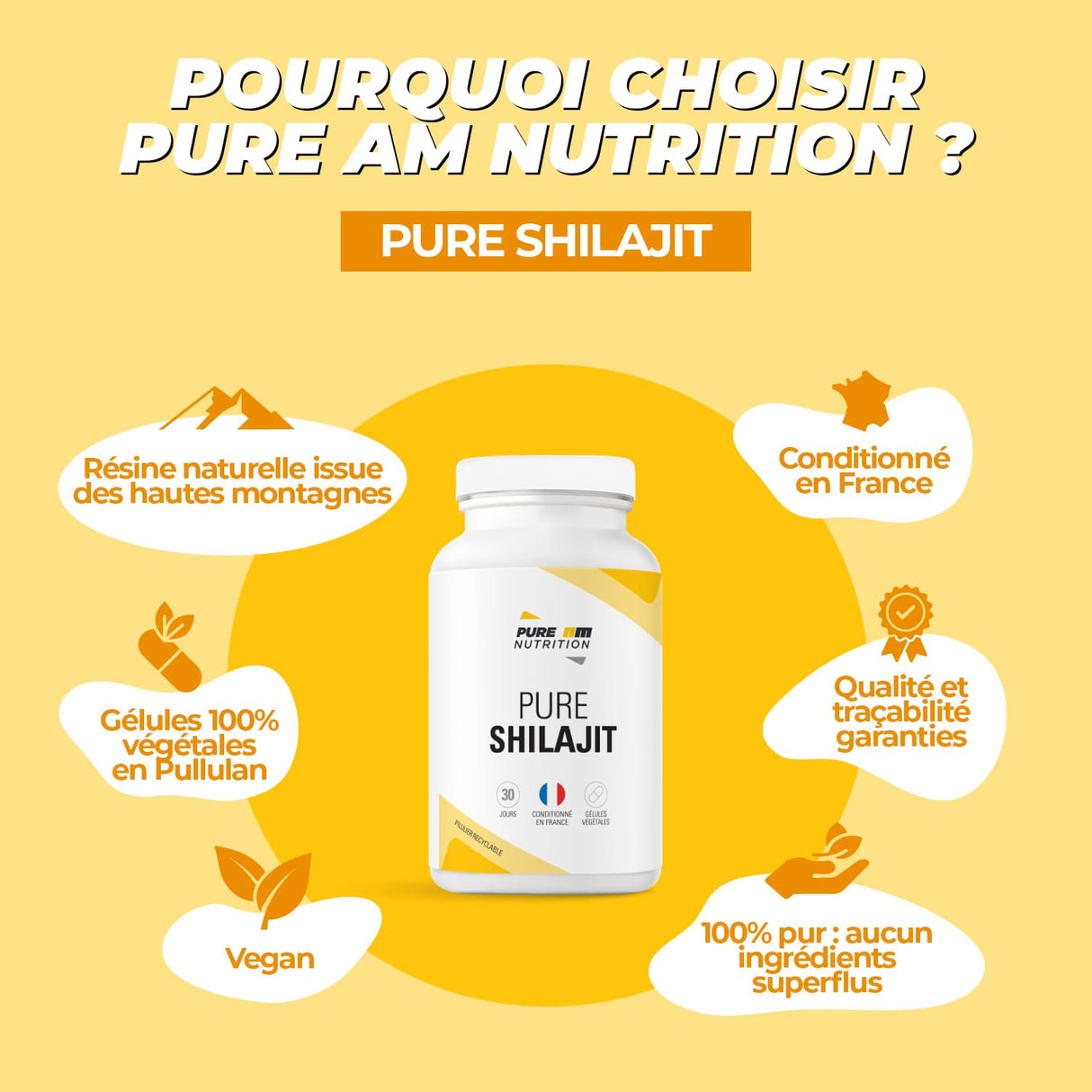 Caractéritiques Shilajit PURE AM Nutrition