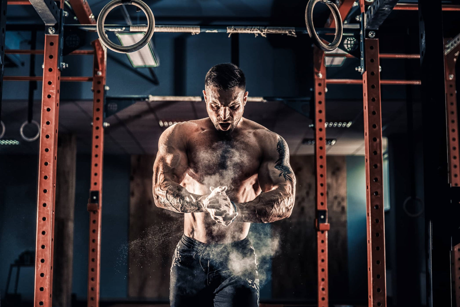 Conseil pour pour prendre de la masse musculaire