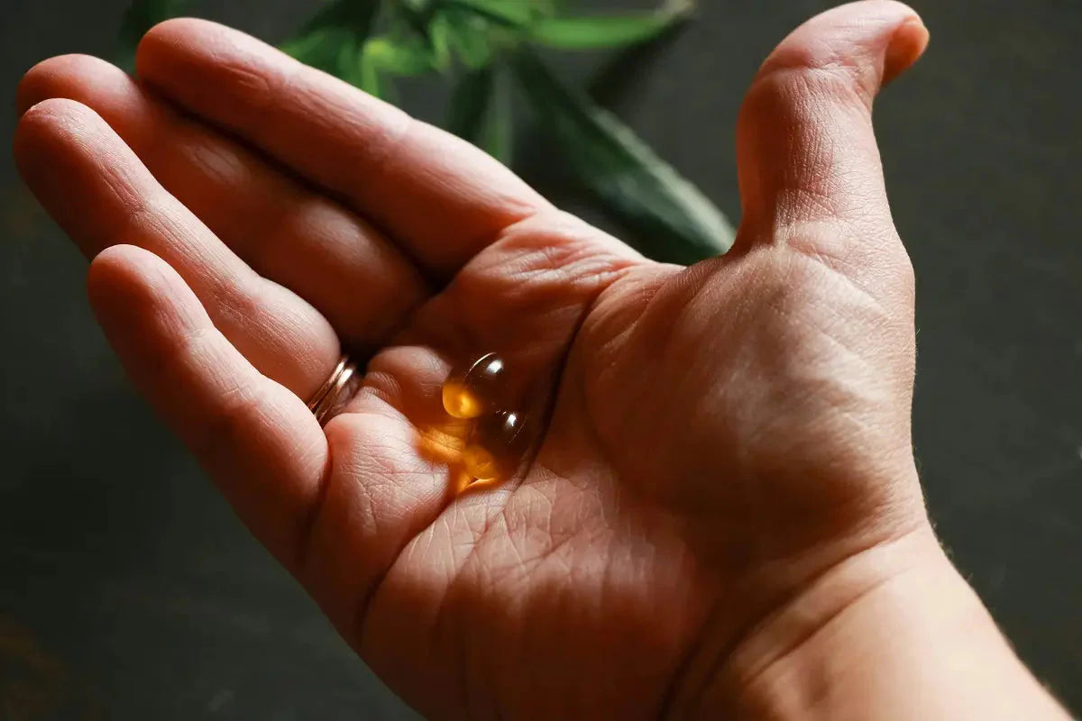les bienfaits de l'ashwagandha en musculation