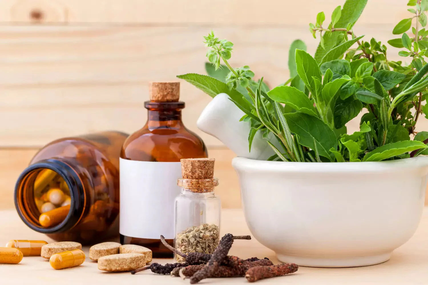 Plantes pour stimuler la mémoire et la concentration