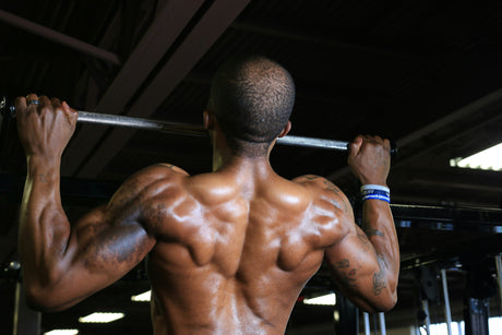 Prise de masse : le guide complet pour gagner du muscle