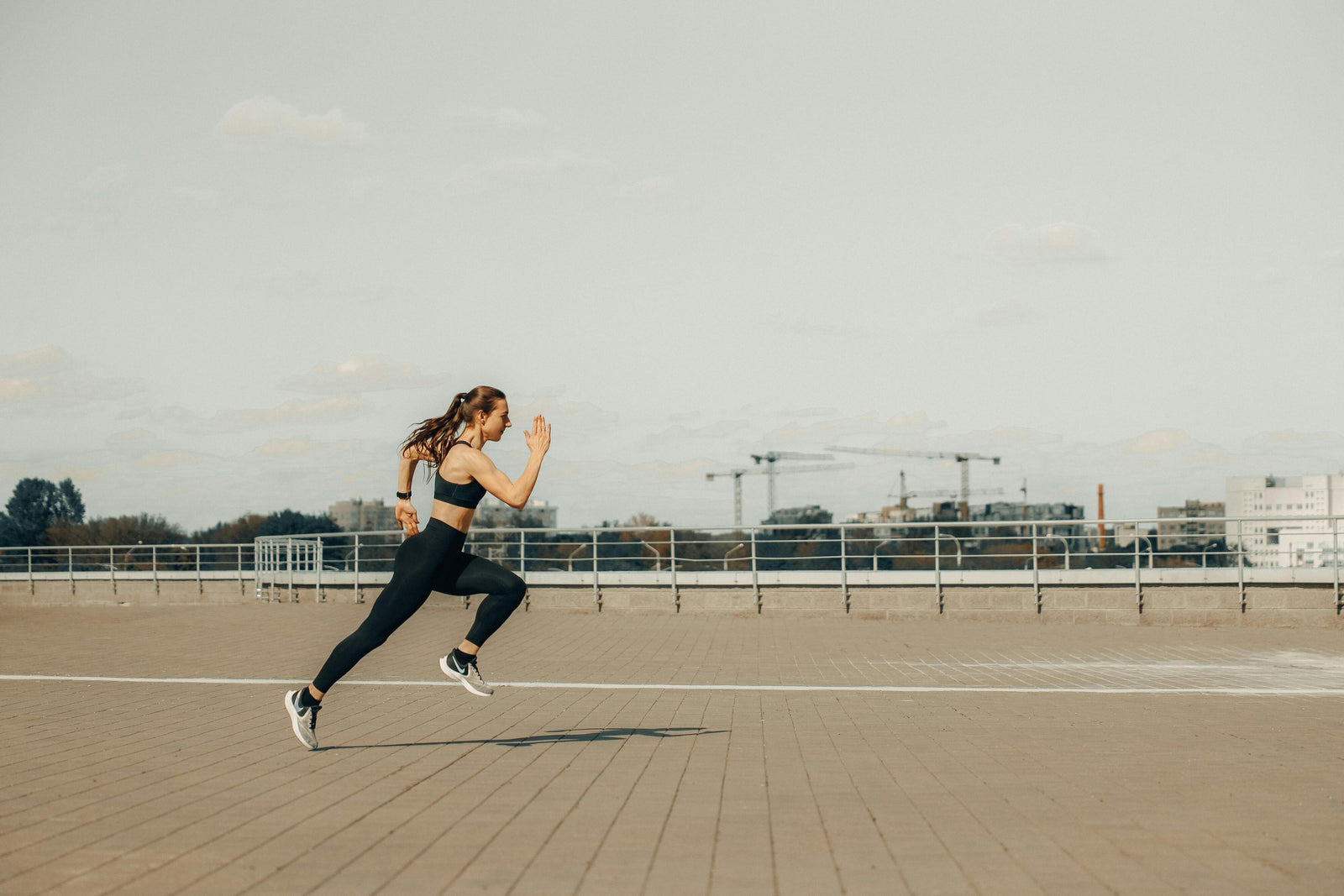 Quel est le brûleur de graisse le plus puissant ?