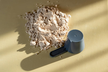 Whey pour débutant : comment choisir ?