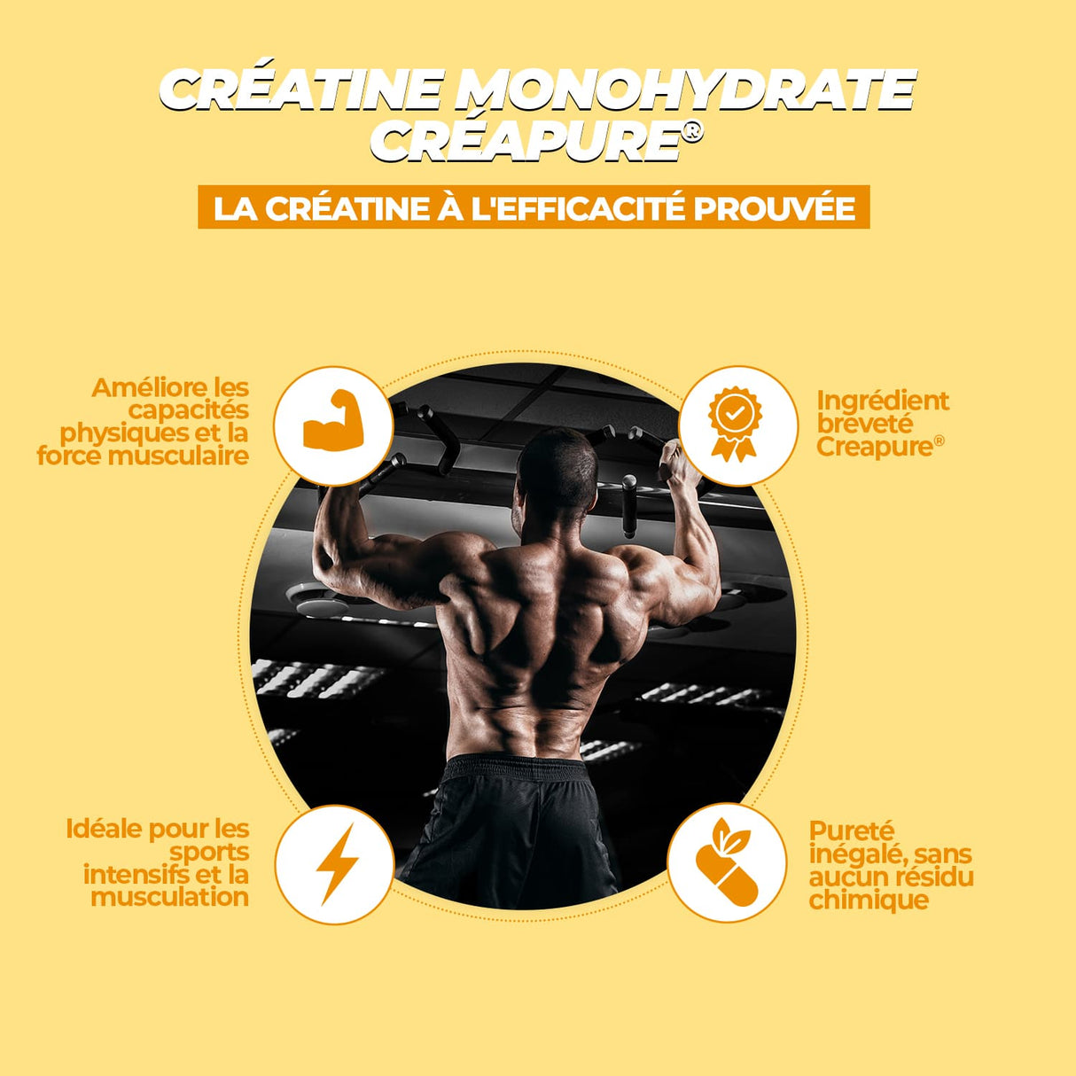 Créatine créapure, la créatine la plus pure du monde