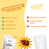 Créatine Creapure® VS créatine standard