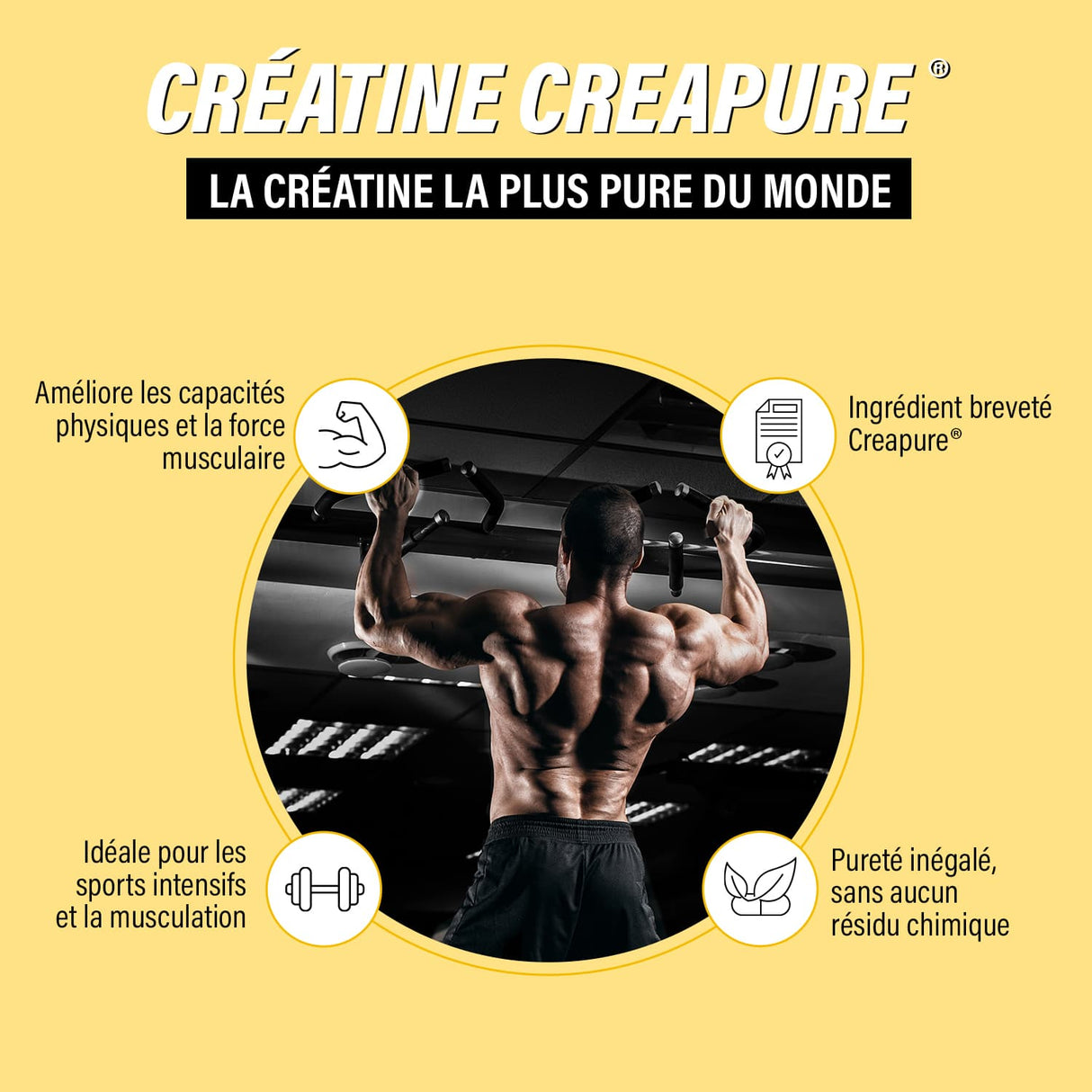 Créatine créapure, la créatine la plus pure du monde