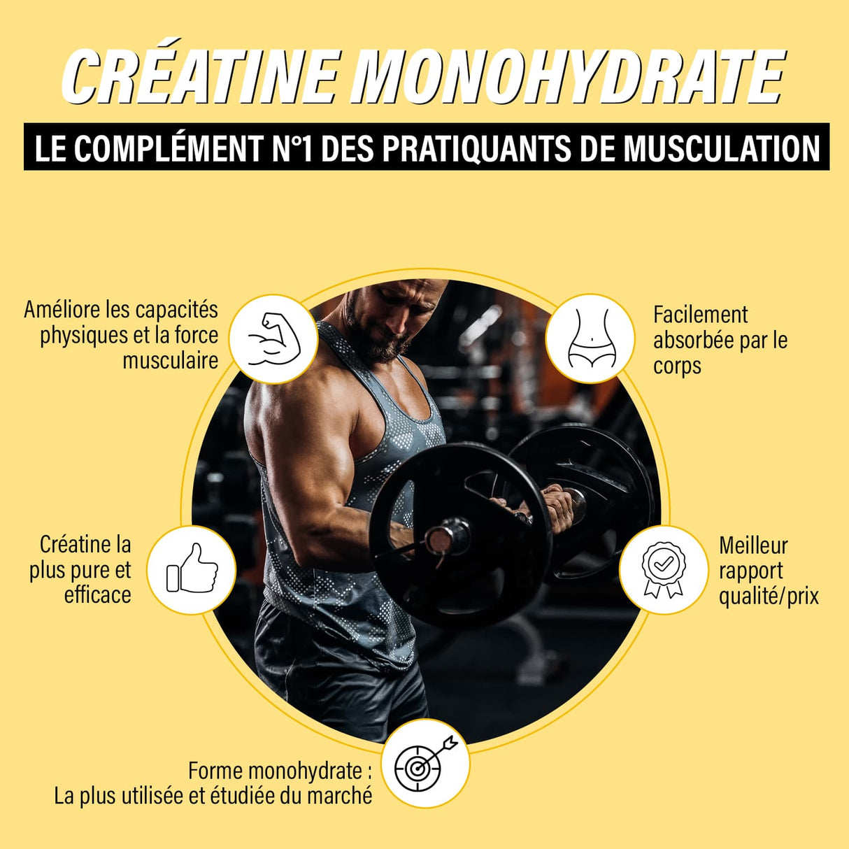 Créatine monohydrate le complément n°1 des pratiquants de musculation