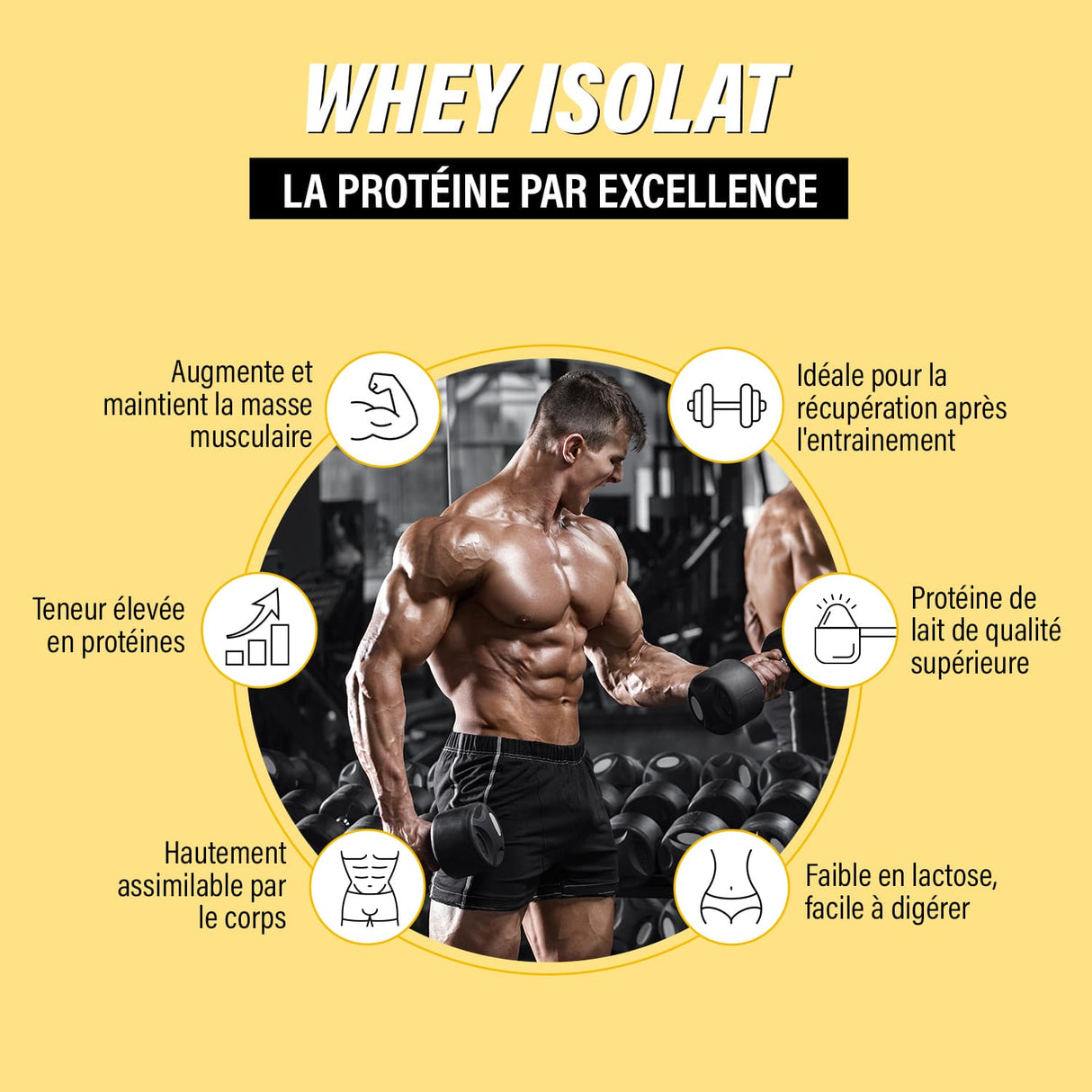 Caractéristique de la whey isolate